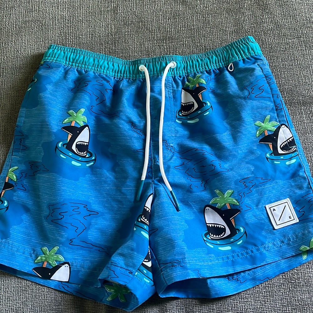 American Eagle Swim Trunks